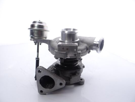 Charger, charging (supercharged/turbocharged)