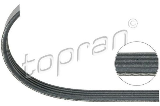 V-Ribbed Belt Opel, BMW/Mini, General Motors