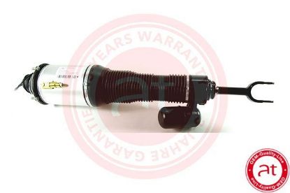 Air Suspension Strut VAG Phaeton (3D) (2002 - 2016)