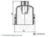 Cap, oil filter housing Renault 77 01 478 537