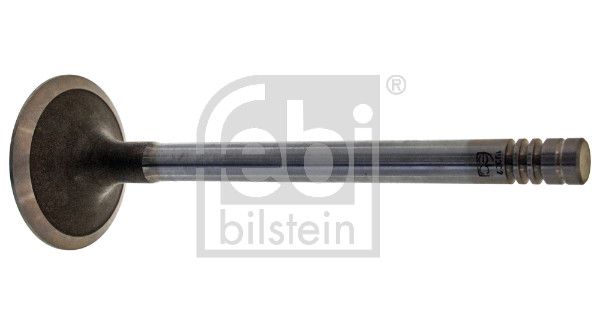 Intake Valve Ford Pkw 1 050 570