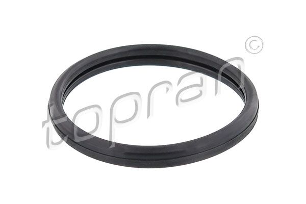 Seal, thermostat FORD