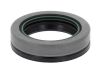 Shaft Seal, differential CASE 83959483