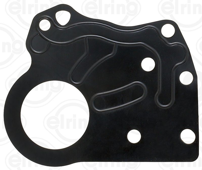Gasket, timing case A4 (8EC, B7), A4 Avant (8ED, B7) S4 quattro