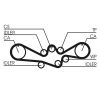 Timing Belt Kit CT 792 K2