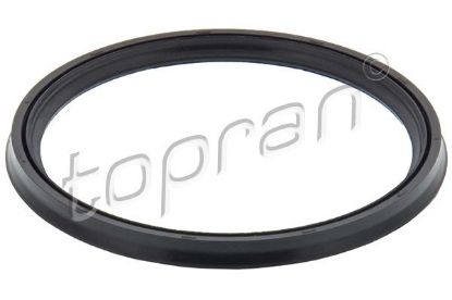 Seal Ring, turbo air hose BMW - 11 61 7 801 968