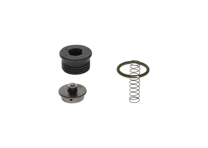 Repair Kit, common rail system Diesel Spare Parts (modern)