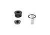 Repair Kit, common rail system Diesel Spare Parts (modern)