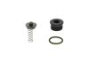 Repair Kit, common rail system Diesel Spare Parts (modern)