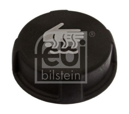 Cap, coolant tank RENAULT (RVI) - 74 20 783 868