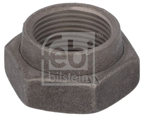 Nut, kingpin Bergische Achsen 03.260.14.08.0 S1