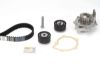 Water Pump & Timing Belt Kit C5 II (RC_), 406 Break (8E/F)