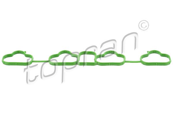 Gasket, intake manifold Opel, General Motors