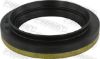 Shaft Seal, differential BMW 33121204232