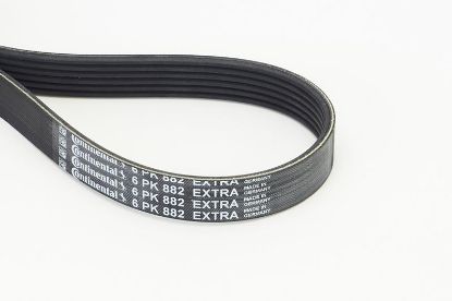 V-Ribbed Belt