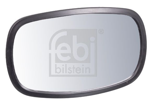 Ramp Mirror Scania - 0 316 920