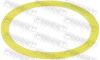 Gasket, differential MB A4603310380