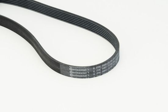 V-Ribbed Belt