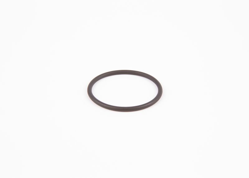 Seal Ring, injector O-ring