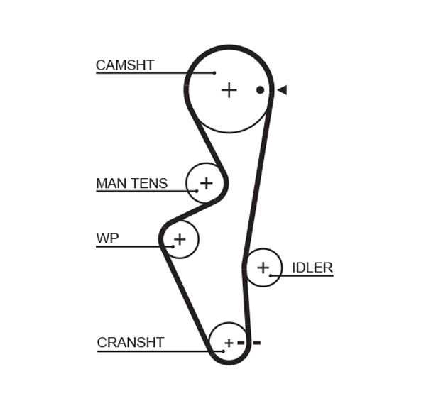 Timing Belt Nissan Sunny 1.7 D - ( L25806
