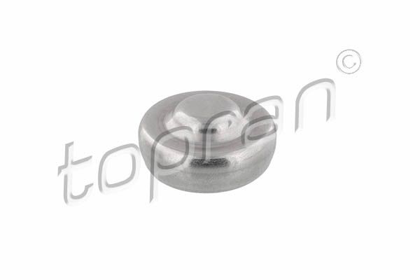 Plug, rocker arm shaft mounting bore FORD