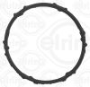 Gasket, coolant flange RENAULT - 11 06 254 23R