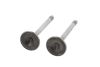 Exhaust Valve RENAU 7700638247