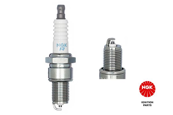 Spark Plug 7031 - Standard