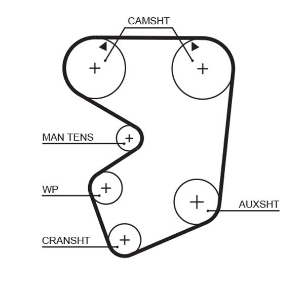 Timing Belt Fiat 130