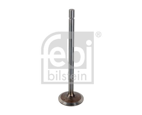 Intake Valve DAF 1307 654