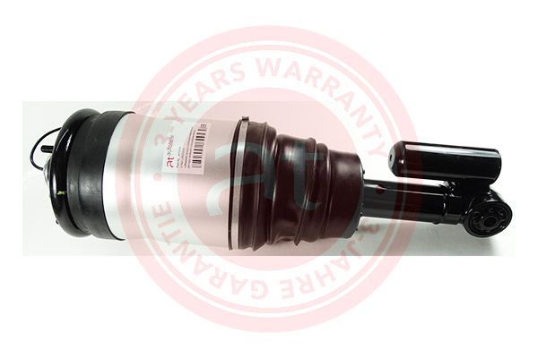Air Suspension Strut Land Rover Range Rover Sport (2005 - 2013)