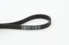 V-Ribbed Belt VAG - 038 903 137G