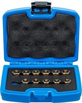 Lock nut set, injector Injector Sealing Plug Set | 12 pcs.