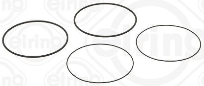 Gasket Set, cylinder liner DAIMLER NKW