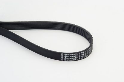 V-Ribbed Belt RENAULT - 82 00 356 446