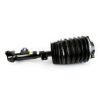 Air Suspension Strut