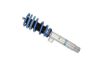 Suspension Kit, springs/shock absorbers