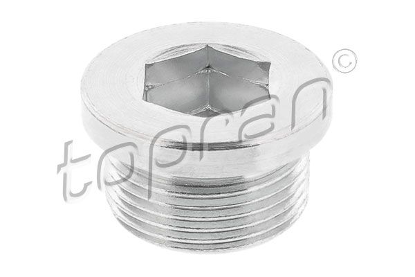 Screw Plug, transmission housing Mercedes/Smart 2109970132