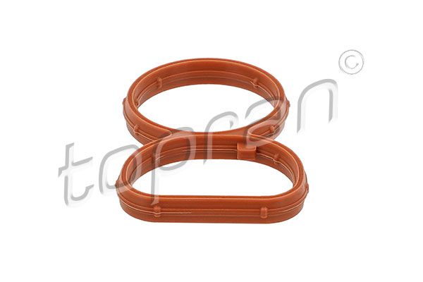 Gasket, intake manifold BMW - 11 61 7 801 438