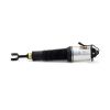 Air Suspension Strut Audi A8 02-09 esi vasak 4E0616039AA