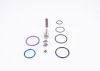 Repair Kit, unit injector