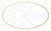 Gasket, cylinder liner IVECO 504372485
