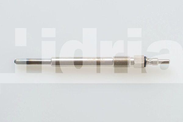 Glow Plug DELPHI HDS310