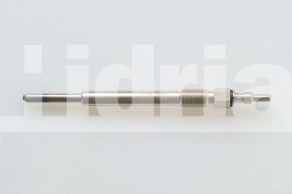 Glow Plug DELPHI HDS310