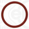 Seal Ring VAG - WHT 006 112