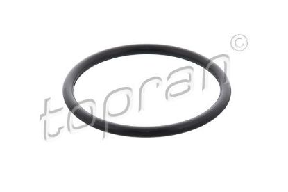 Gasket, intake manifold housing Opel, General Motors