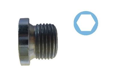 Screw Plug, oil sump BMW