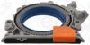 Shaft Seal, crankshaft VOLKSWAGEN