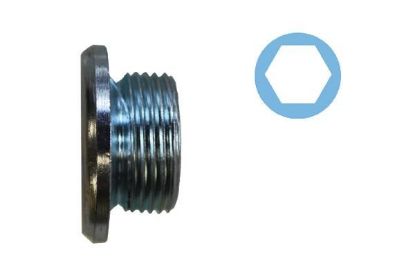 Screw Plug, oil sump VAG - 028 103 059A