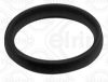 Seal Ring, oil drain plug IVECO 5801949480